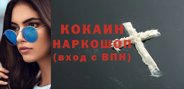 сатива Няндома