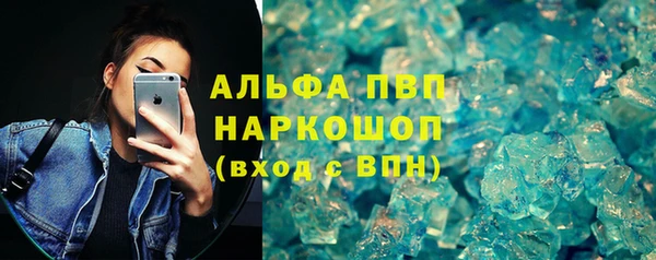 сатива Няндома