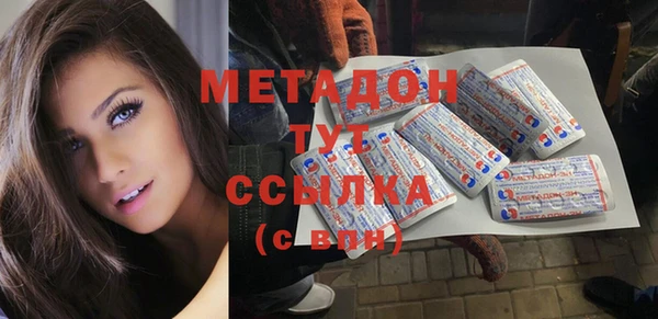 сатива Няндома