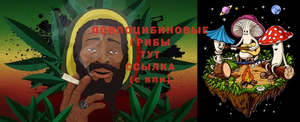 МДПВ Волосово